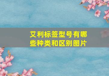 艾利标签型号有哪些种类和区别图片