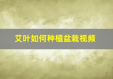 艾叶如何种植盆栽视频