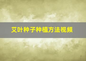 艾叶种子种植方法视频