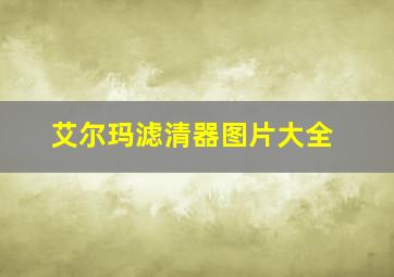 艾尔玛滤清器图片大全