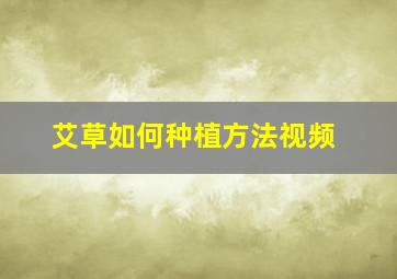 艾草如何种植方法视频