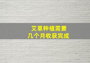 艾草种植需要几个月收获完成