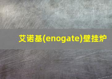 艾诺基(enogate)壁挂炉