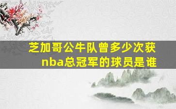 芝加哥公牛队曾多少次获nba总冠军的球员是谁