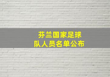 芬兰国家足球队人员名单公布