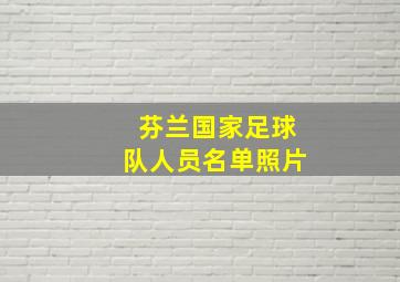 芬兰国家足球队人员名单照片