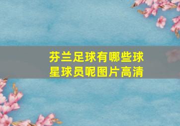 芬兰足球有哪些球星球员呢图片高清