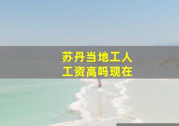 苏丹当地工人工资高吗现在