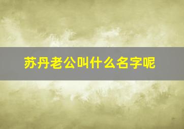 苏丹老公叫什么名字呢