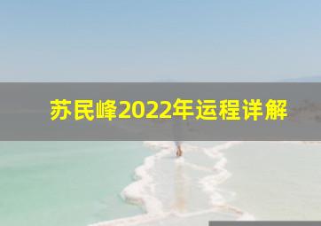 苏民峰2022年运程详解