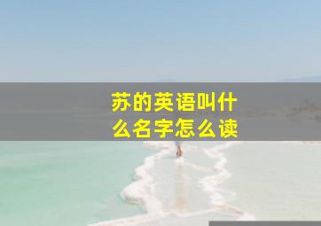 苏的英语叫什么名字怎么读