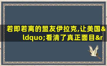 若即若离的盟友伊拉克,让美国“看清了真正面目”