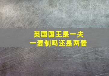 英国国王是一夫一妻制吗还是两妻