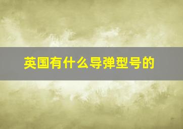 英国有什么导弹型号的