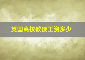 英国高校教授工资多少