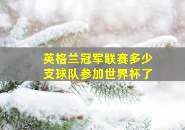 英格兰冠军联赛多少支球队参加世界杯了