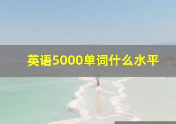 英语5000单词什么水平