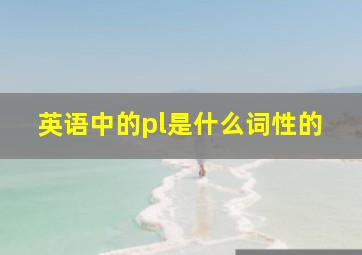 英语中的pl是什么词性的