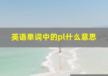 英语单词中的pl什么意思