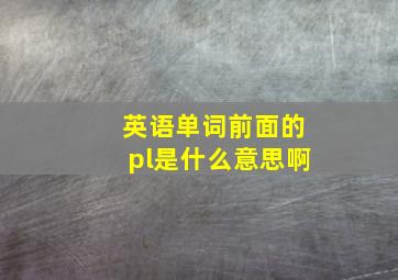 英语单词前面的pl是什么意思啊