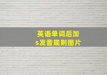 英语单词后加s发音规则图片