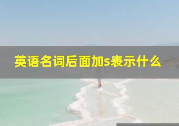 英语名词后面加s表示什么