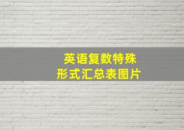 英语复数特殊形式汇总表图片