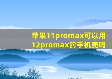 苹果11promax可以用12promax的手机壳吗