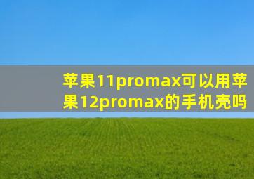 苹果11promax可以用苹果12promax的手机壳吗