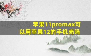 苹果11promax可以用苹果12的手机壳吗