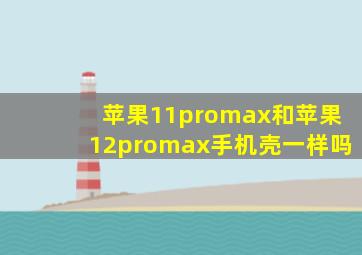 苹果11promax和苹果12promax手机壳一样吗