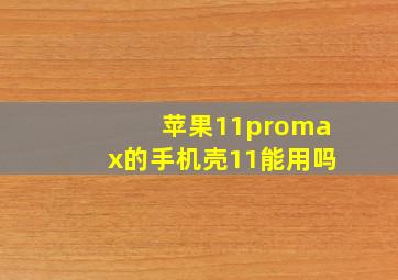 苹果11promax的手机壳11能用吗