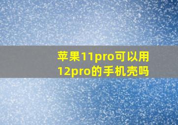 苹果11pro可以用12pro的手机壳吗