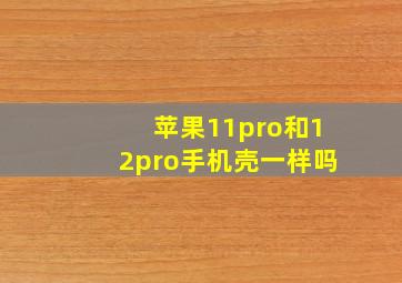 苹果11pro和12pro手机壳一样吗