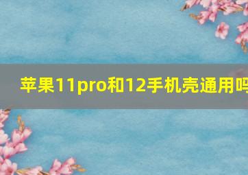 苹果11pro和12手机壳通用吗