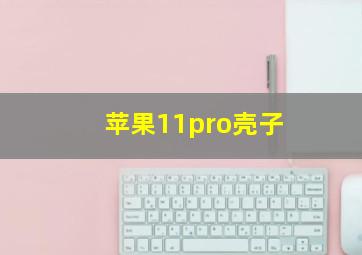 苹果11pro壳子