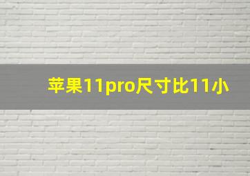 苹果11pro尺寸比11小