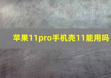 苹果11pro手机壳11能用吗