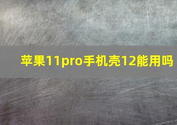 苹果11pro手机壳12能用吗