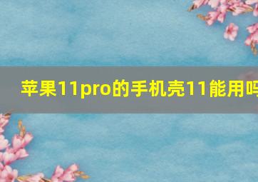 苹果11pro的手机壳11能用吗