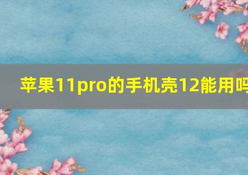 苹果11pro的手机壳12能用吗