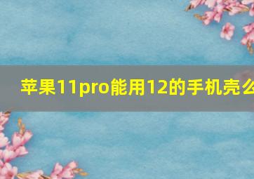 苹果11pro能用12的手机壳么