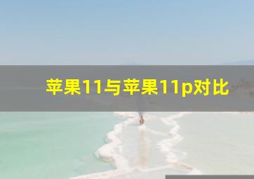 苹果11与苹果11p对比