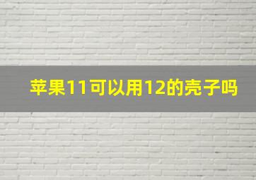 苹果11可以用12的壳子吗