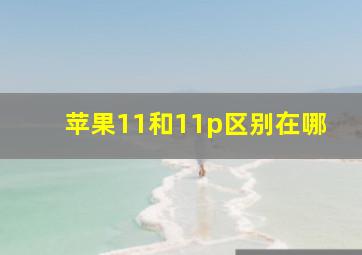 苹果11和11p区别在哪