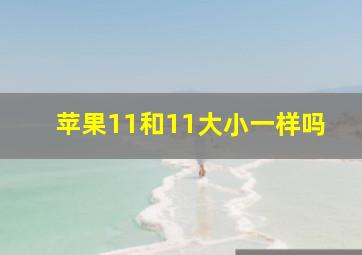 苹果11和11大小一样吗