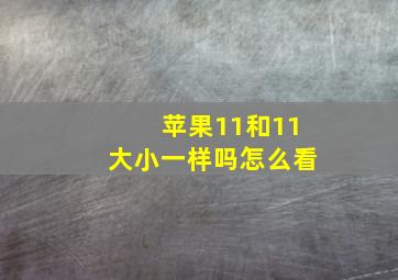 苹果11和11大小一样吗怎么看