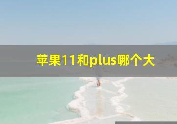 苹果11和plus哪个大