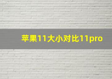 苹果11大小对比11pro