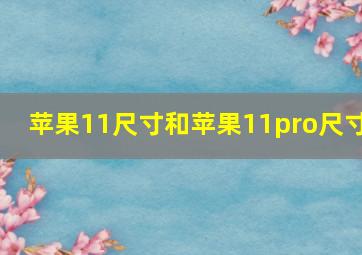 苹果11尺寸和苹果11pro尺寸